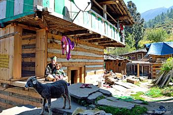 37751915035_29ec9eed6f_b