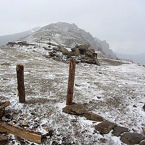 grass-became-white-with